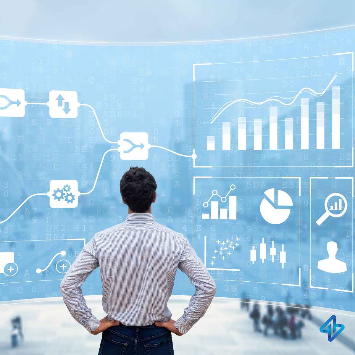 Enterprise Systems